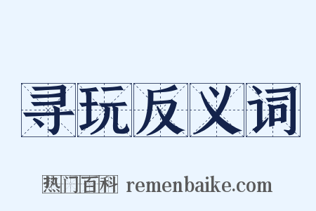 寻玩反义词是什么意思的图片